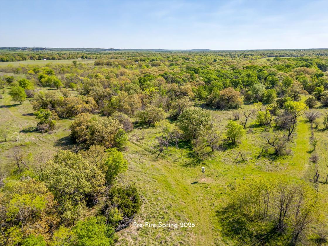 AG EXEMPT 97+ ACRES WITH PASTURE LAND & 4 TANKS - photo 12