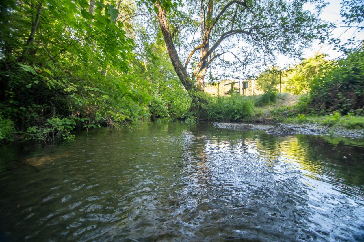 Equestrian Or Vineyard Or Farm With Custom Home! - photo 14