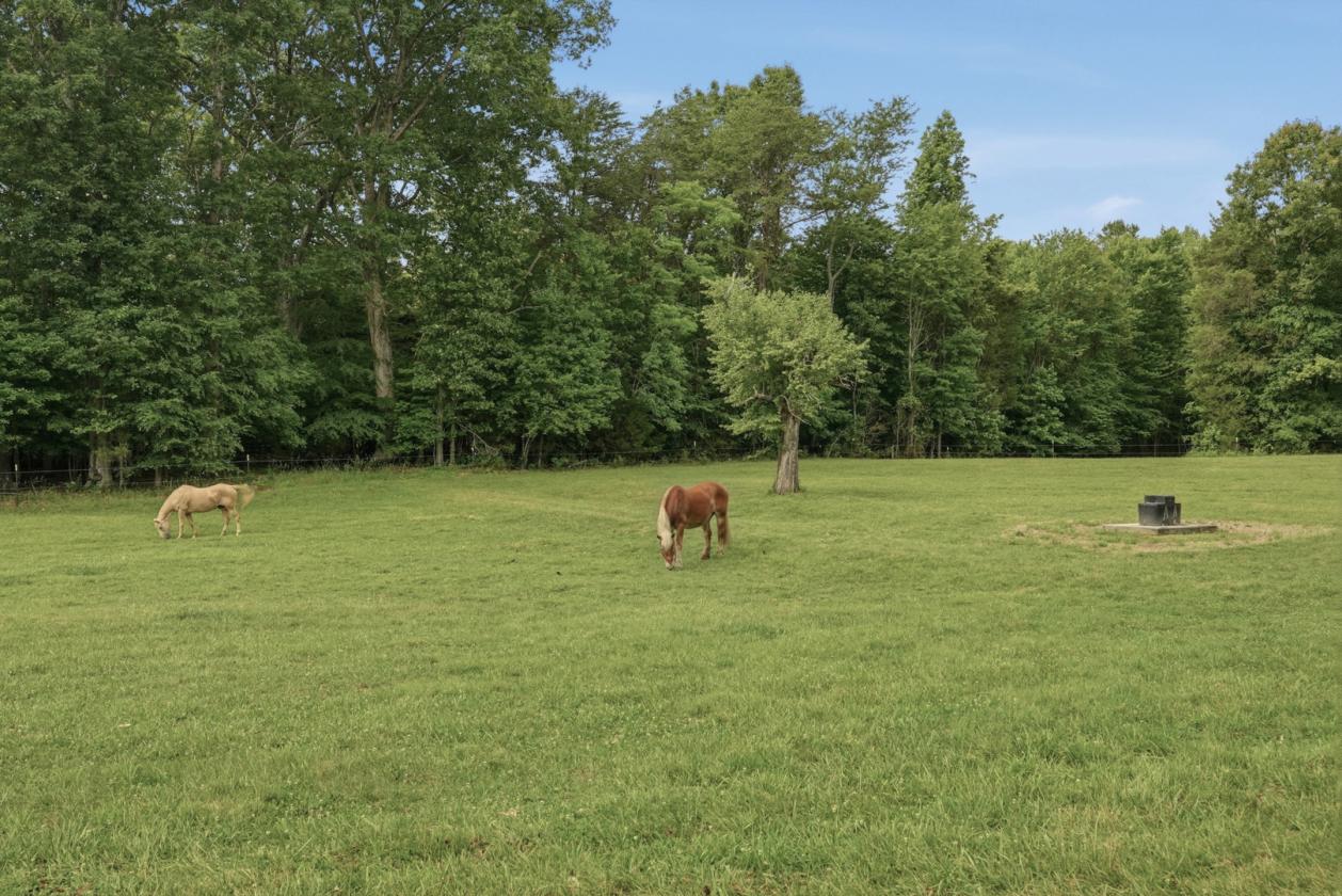 Equestrian Estate Bordering State Forest! - photo 4