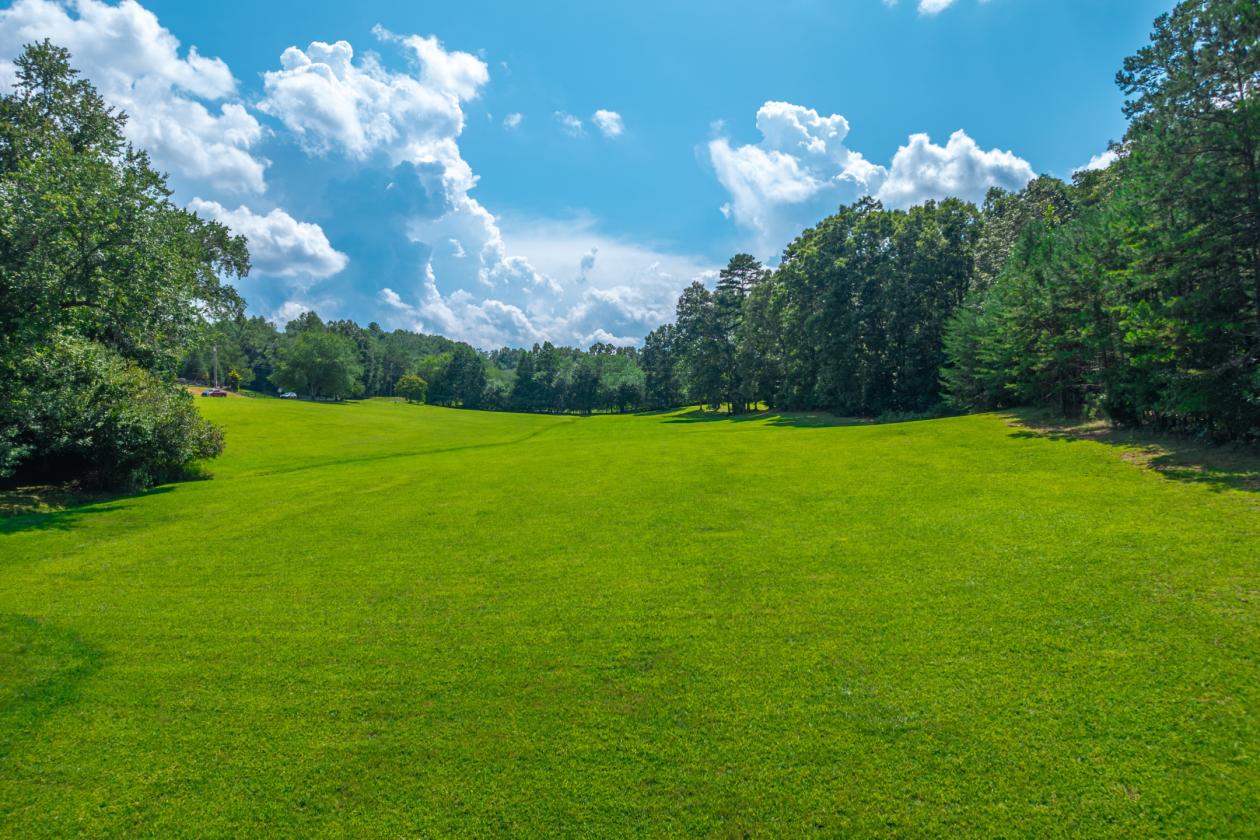 19.9 AC with 7AC Cleared Pasture & Barn - photo 9