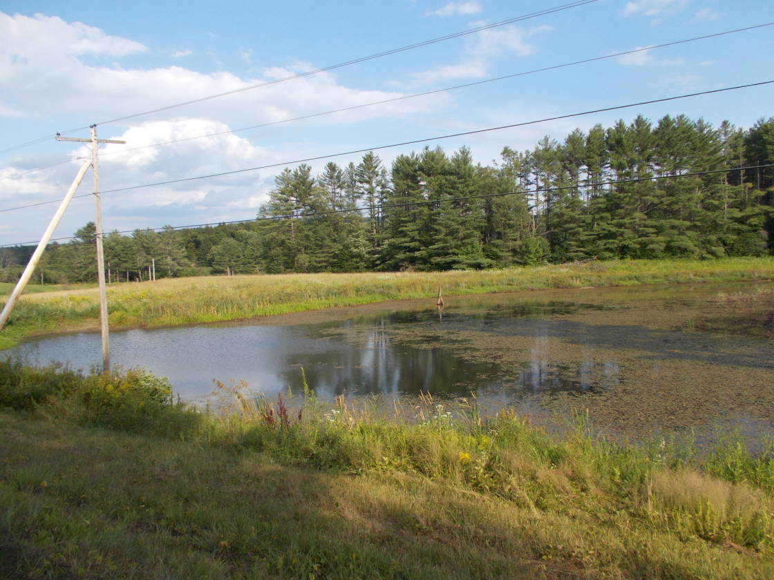 Quaint and Tranquil Property Plainfield, Sullivan County, New