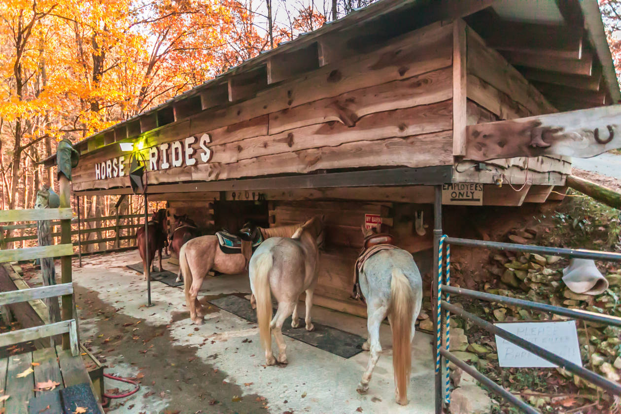 Horse Riding Stables on 35 amazing acres Zip Lines... Townsend, Blount County, Tennessee