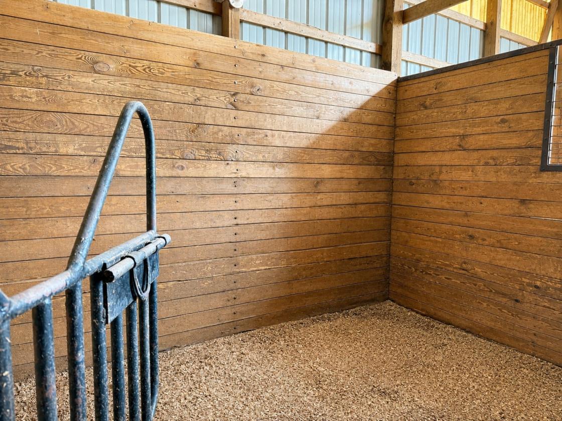 Horse Property: Boarding & Training Facility - photo 5