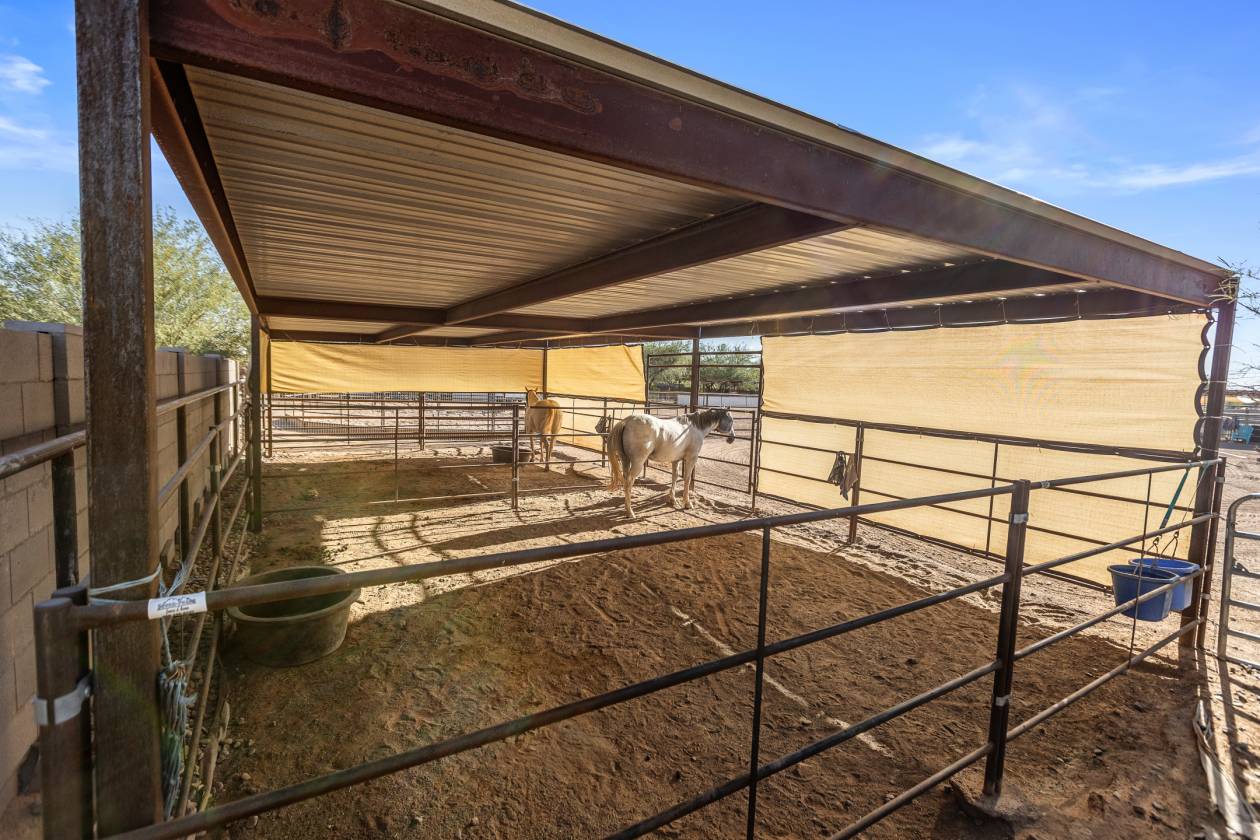 Luxury Home, Horse setup, Ride off Property, Pool - photo 4