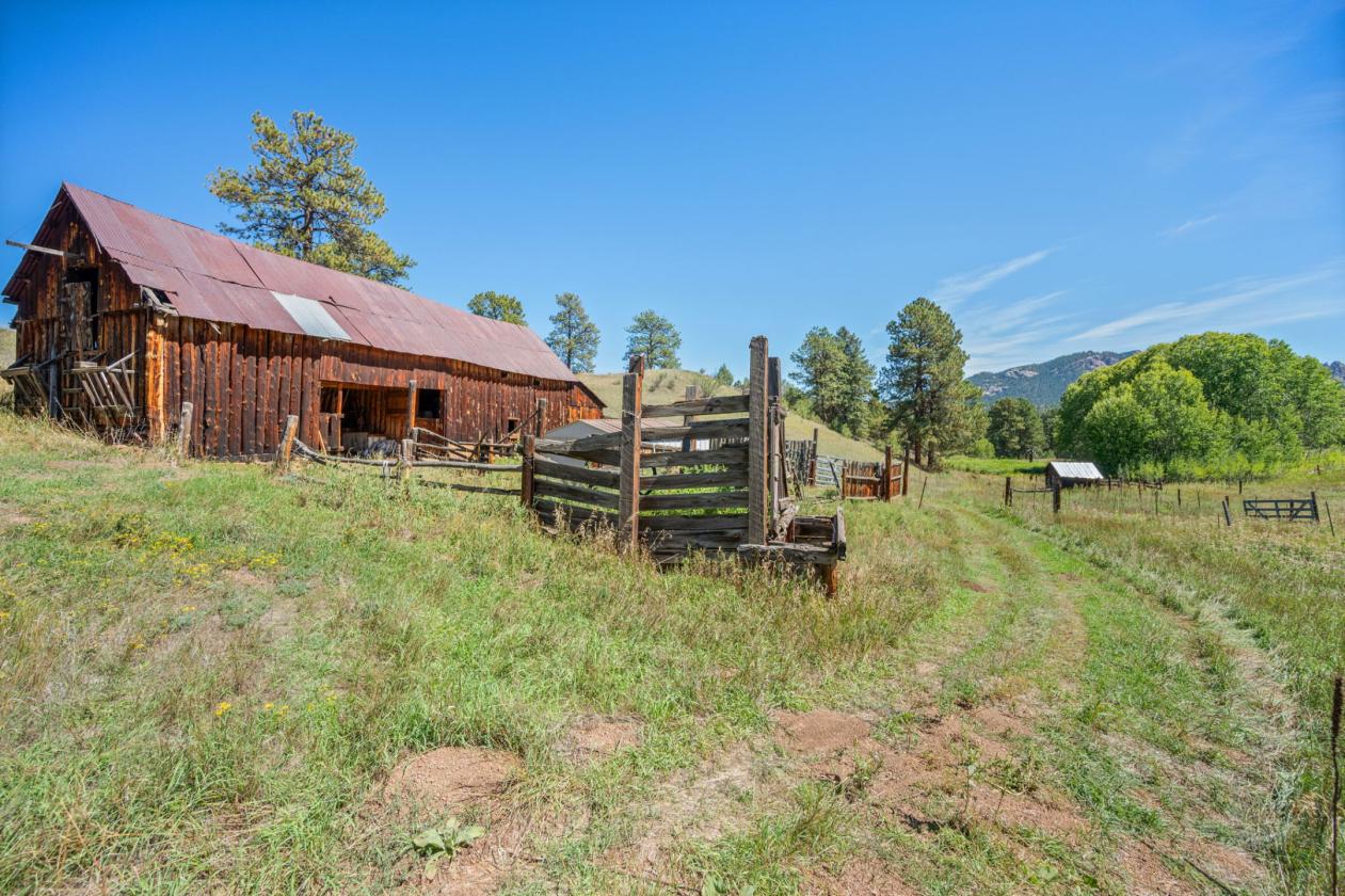 Spring Creek Ranch | Historic Horse Property - photo 24