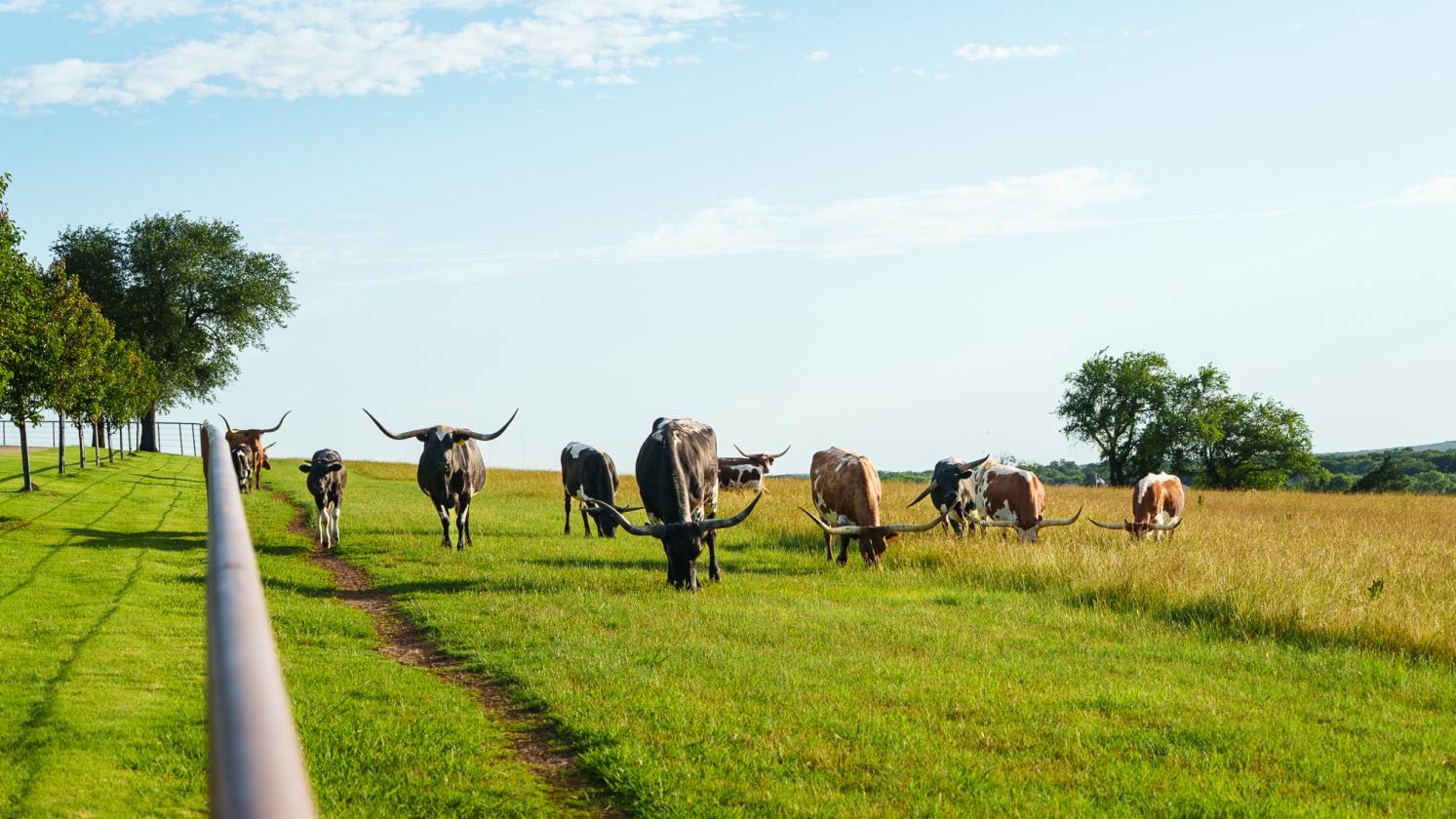 Walcott Ranch - photo 16