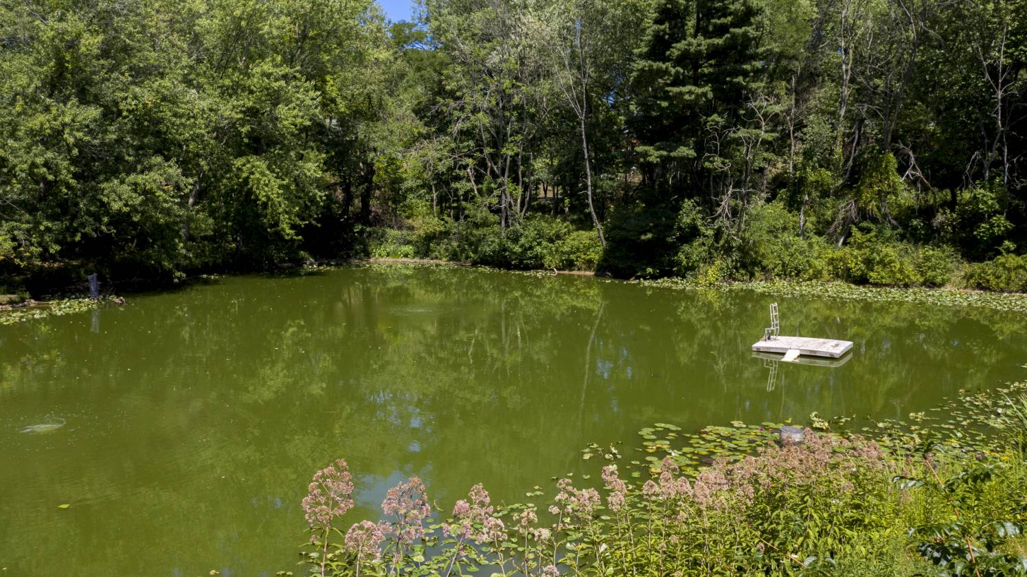 Horse Property for sale.