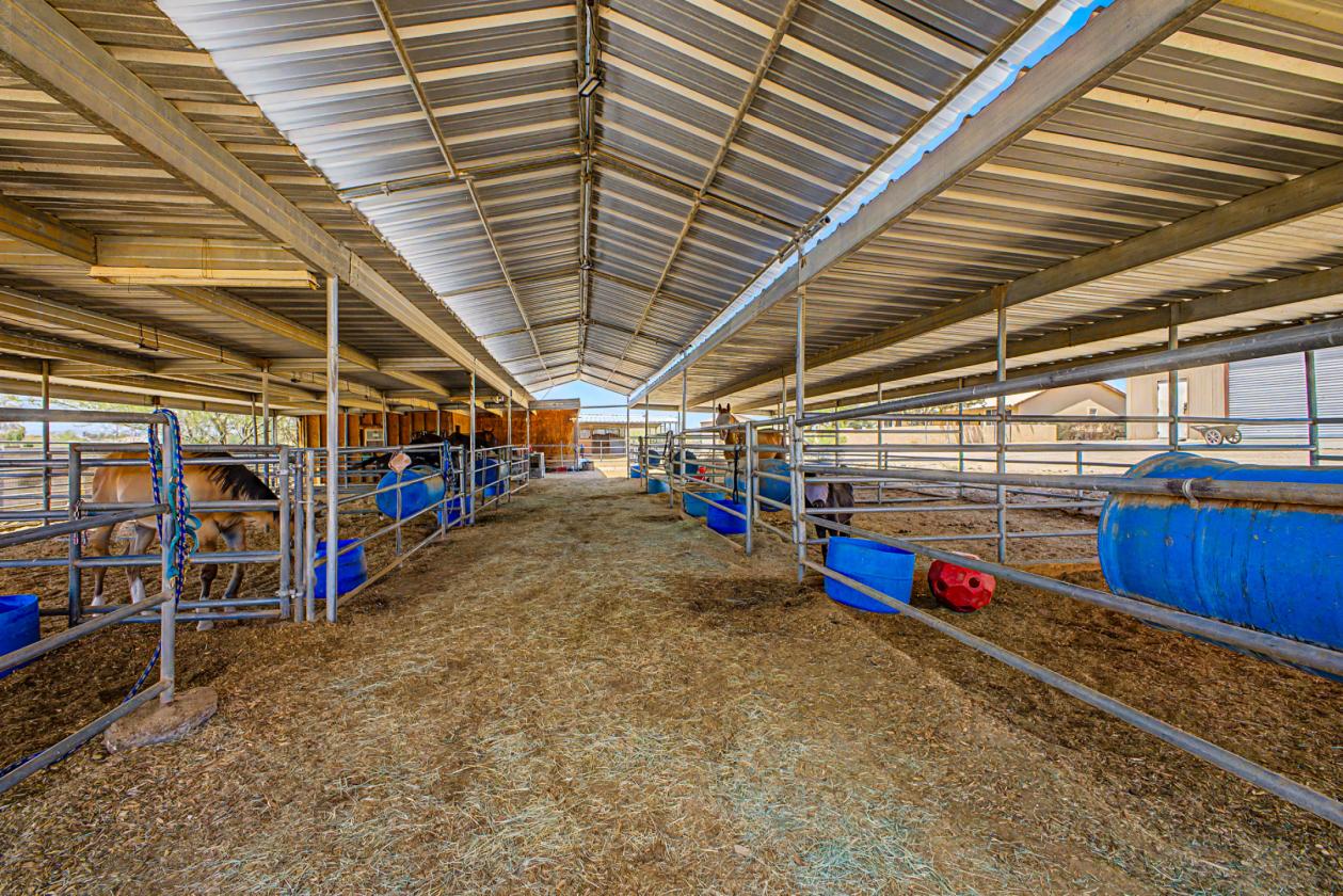 Equestrian Property in the heart of Desert Hills - photo 4