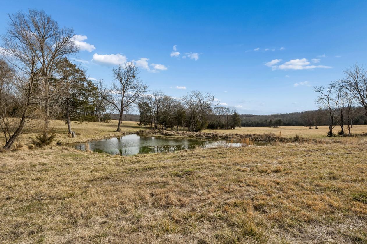 175 Gorgeous Acres - photo 11