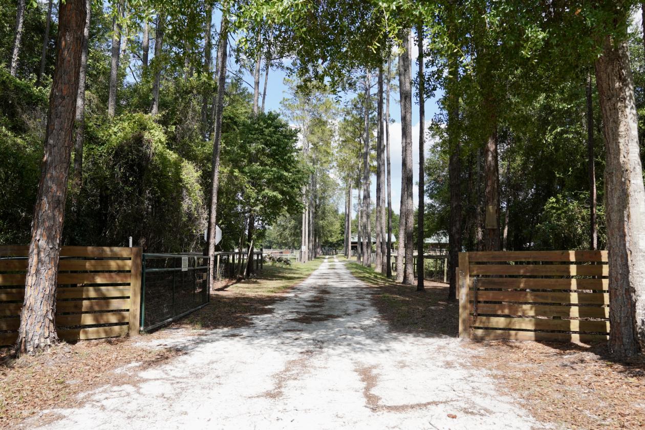 Exceptional gated equestrian estate - photo 2