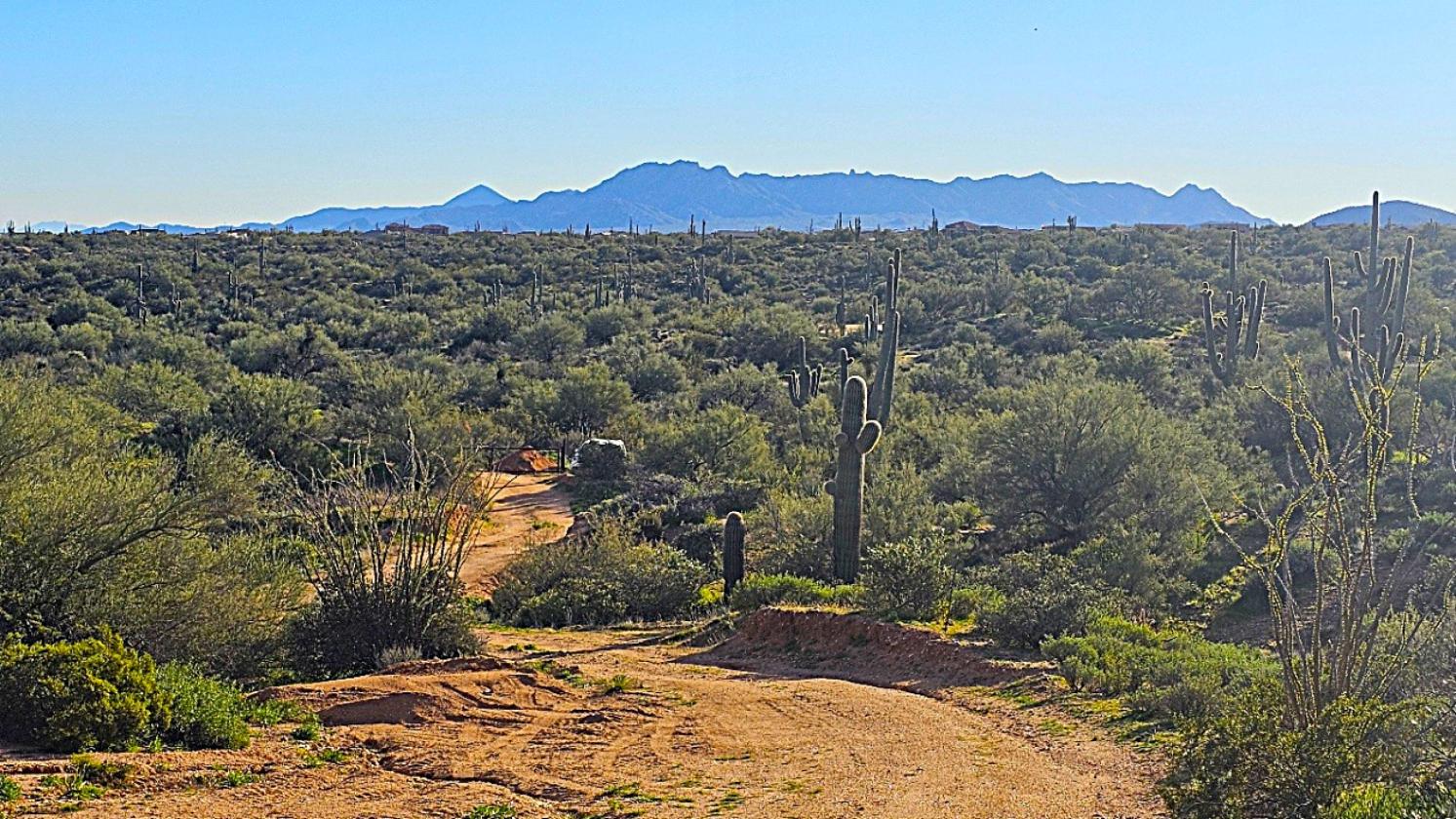 ACREAGE- NATIONAL FOREST FRONTAGE, PRIVATE WELL - photo 12
