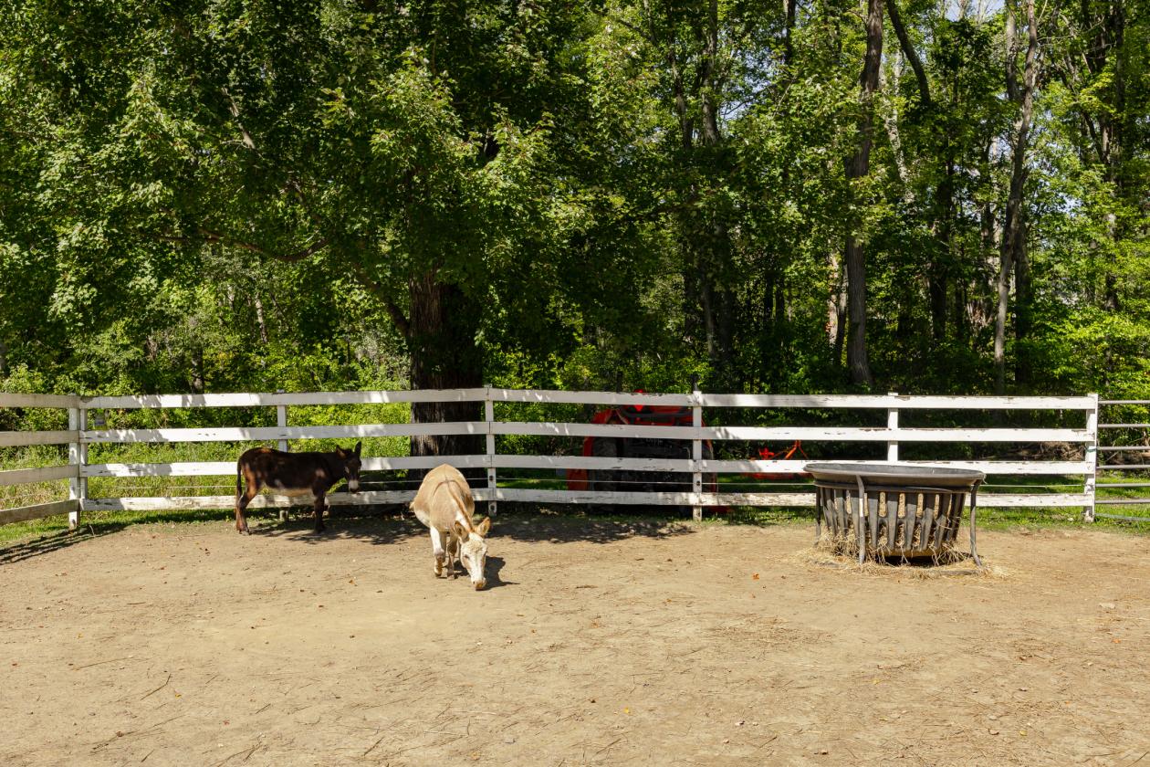 Impeccably kept horse property w/central location - photo 8