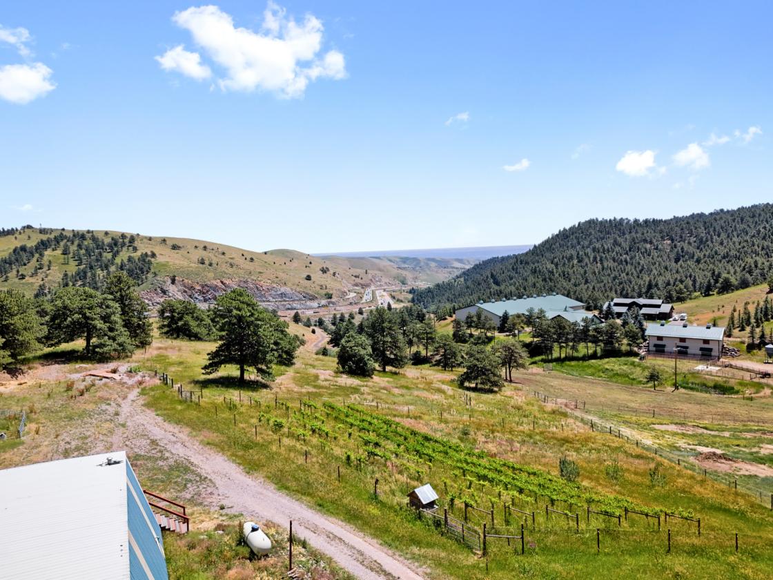 10 acre Horse Property - photo 7