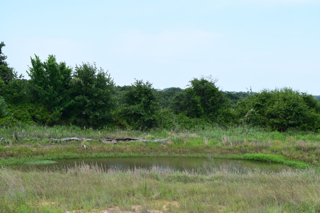 Motivated Seller- 17 acres Parker County - photo 6