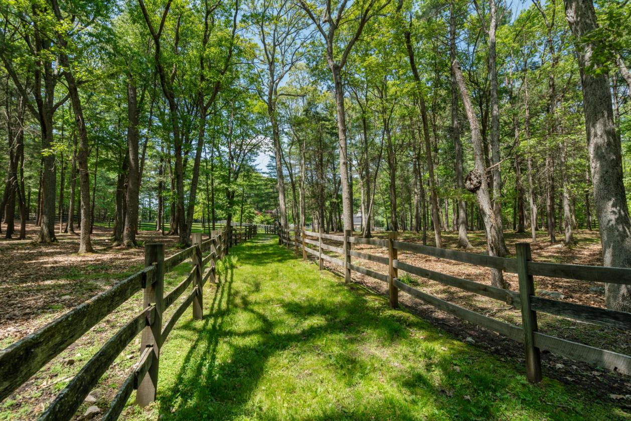 Meticulously Maintained 8 Ac Horse Farm on Trails - photo 13