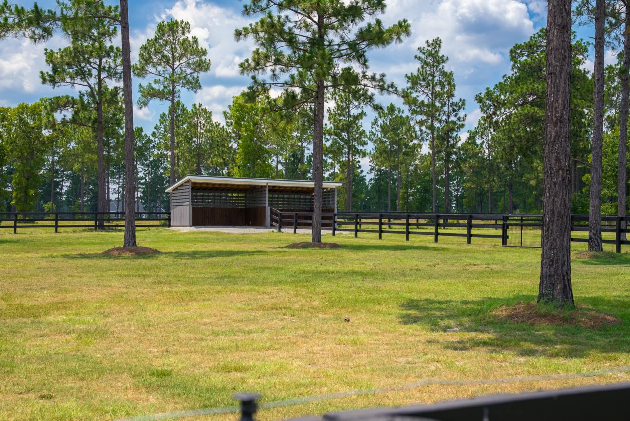 Kalista Manor South ~ Turn-Key Equestrian Estate - photo 27