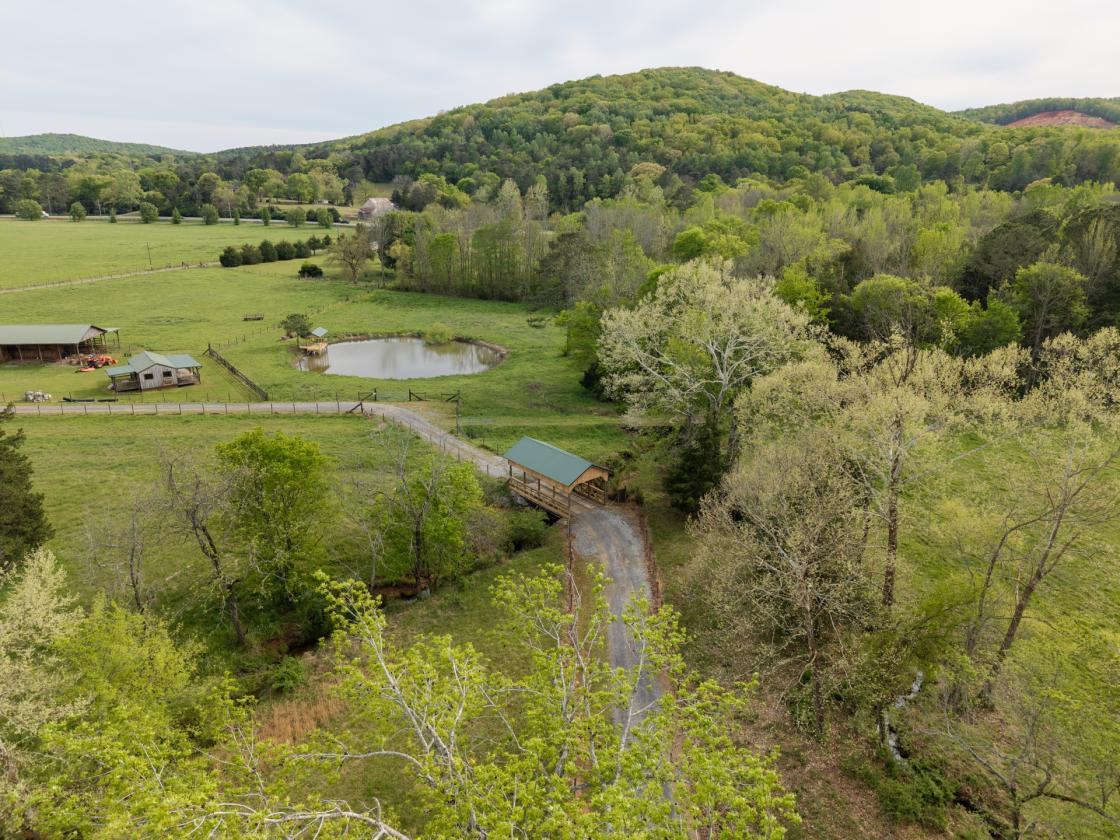 54 Acre Farm with 2 Houses - photo 7