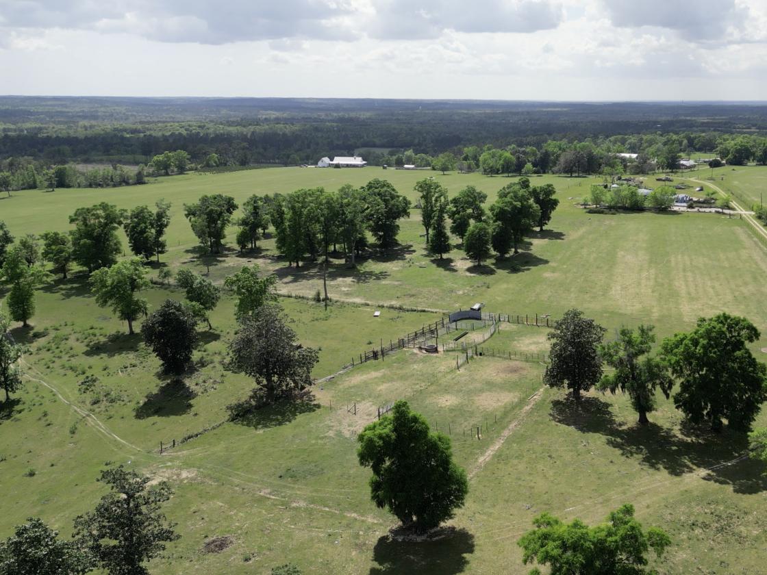 320 prime acres on HIckory Hill, Washington County - photo 10