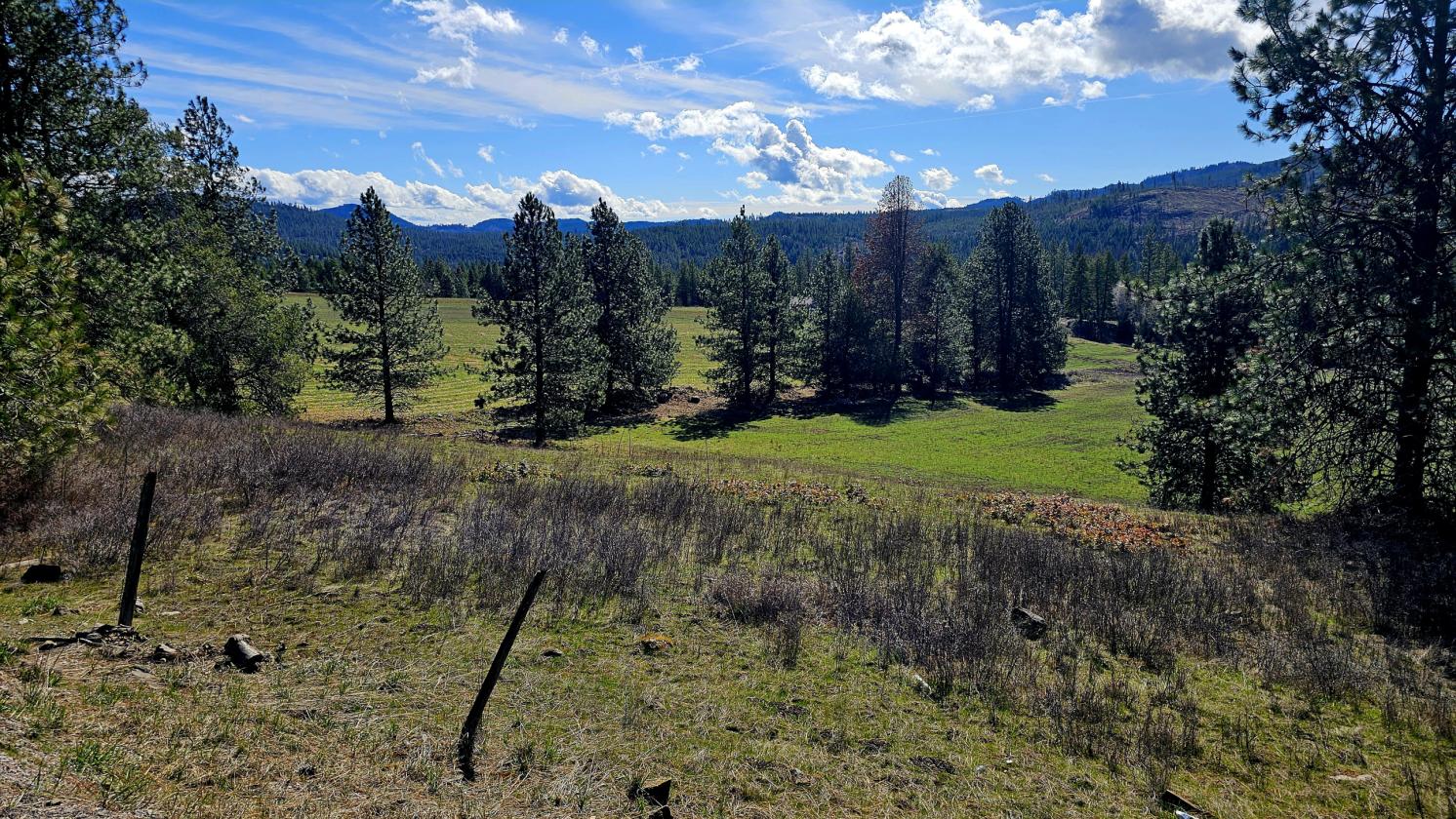 Gorgeous 63 Acres - photo 8