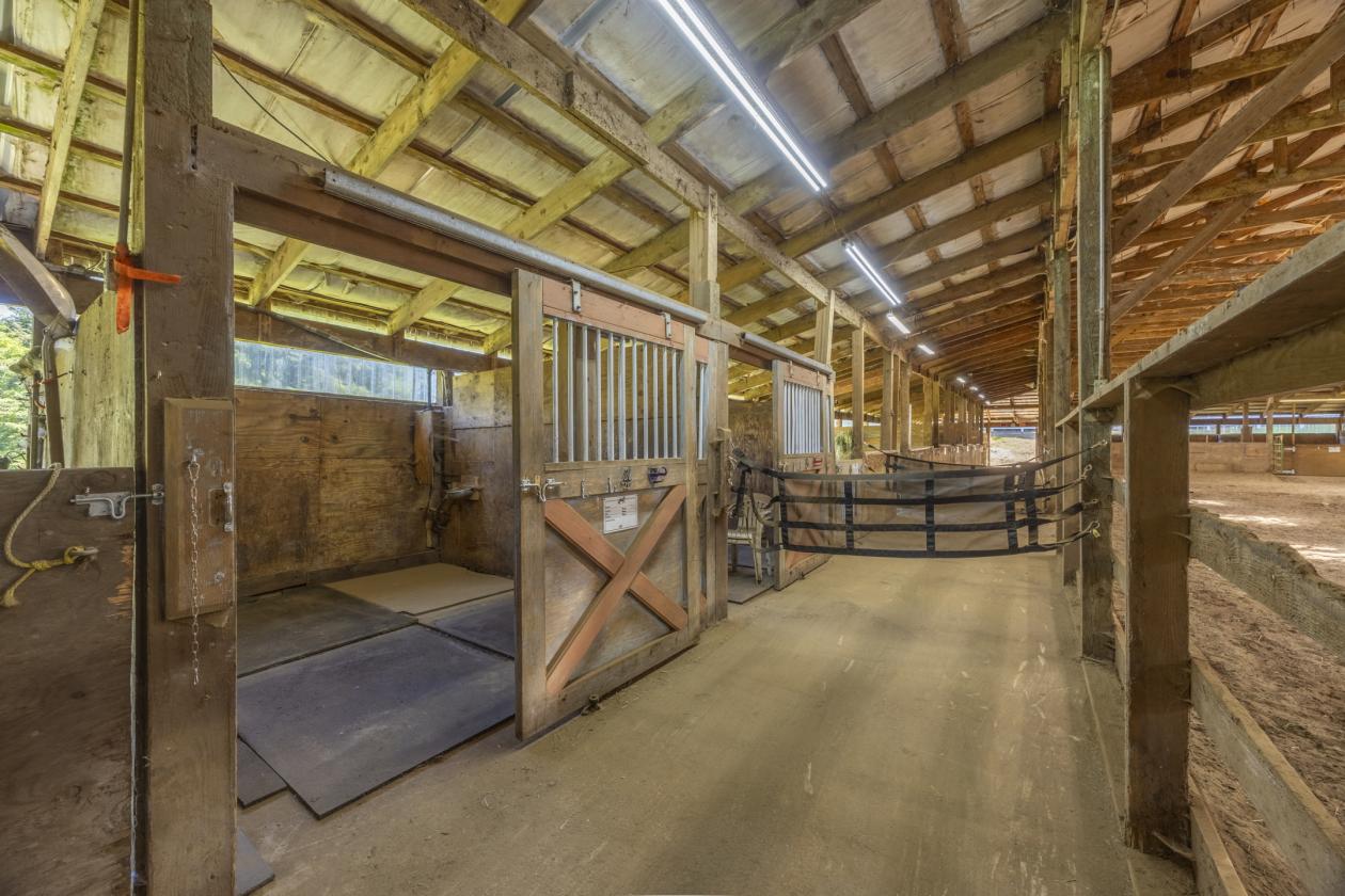 Unique Horse Property with a view of the Alsea Bay - photo 9