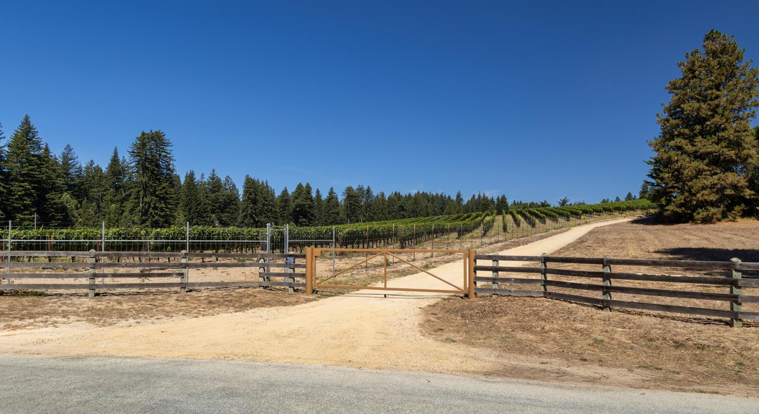 Santa Cruz Equestrian & Vineyard Property - photo 2