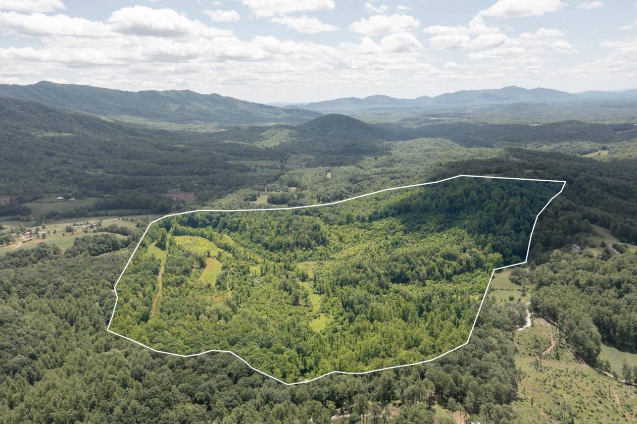 Horse Property for sale.