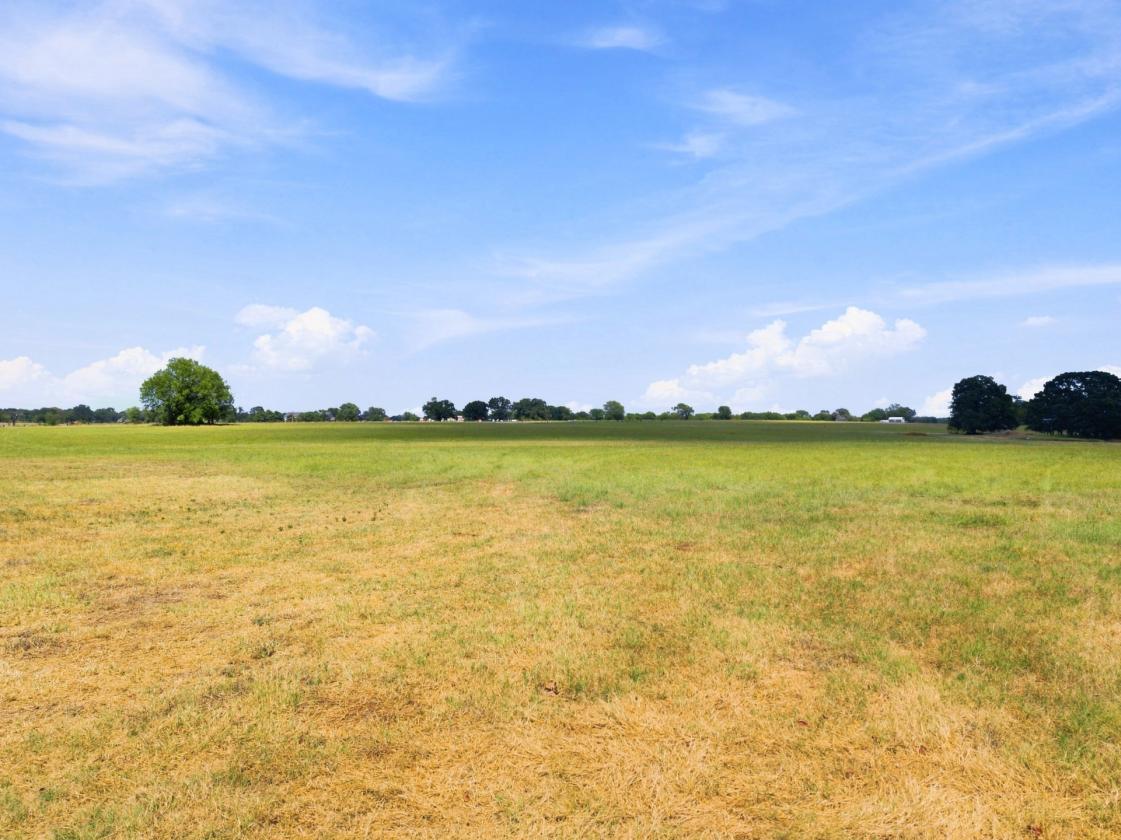 Wide-Open 18± Acres for Horses & Country Living - photo 8