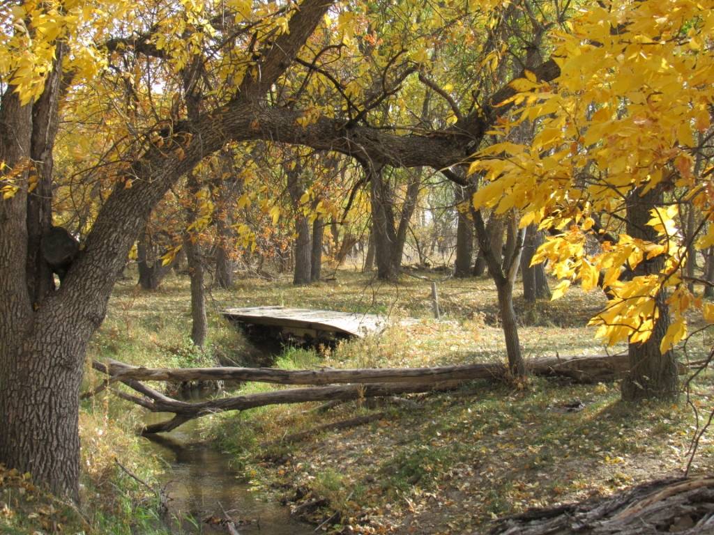 Cross Ranch on Ash Creek * Nebraska Land for Sale... Whitney, Dawes