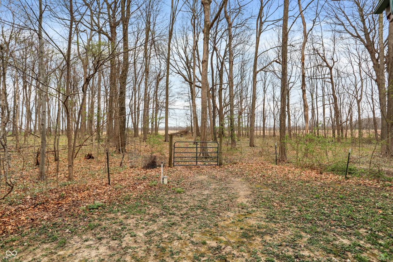 Stunning Barna log home on over 12 acres - photo 18