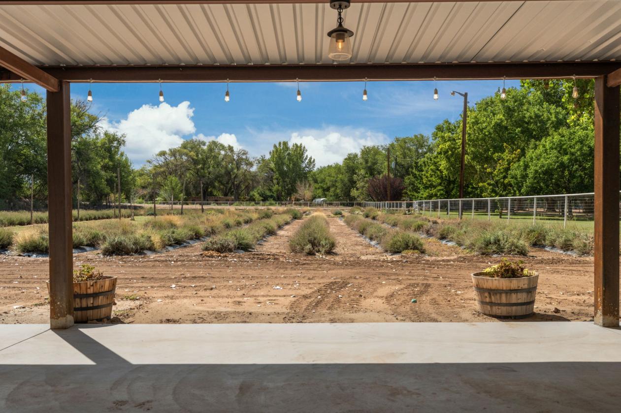 Refined Rural Living with Equestrian Facilities - photo 25