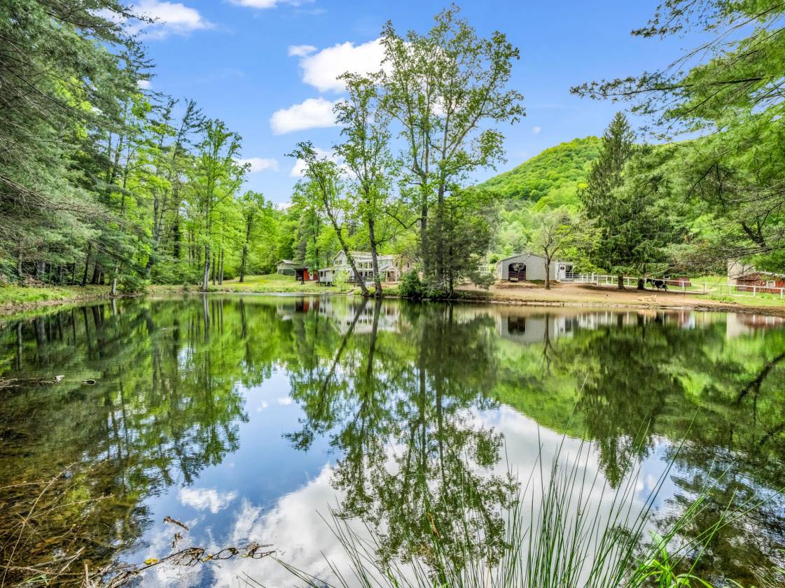 Horse Property for sale.