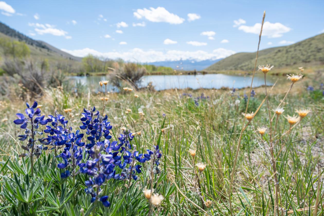Private Idaho Retreat on 325 acres! - photo 20