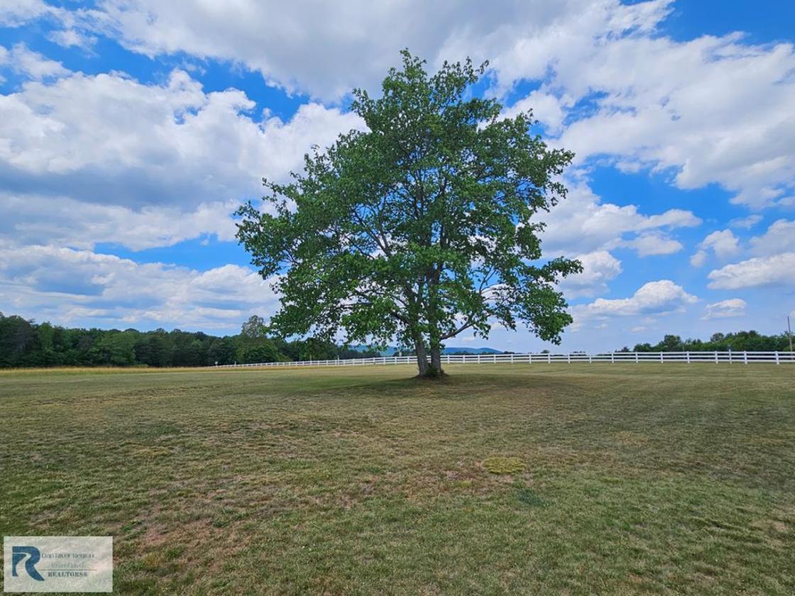 Blue Bird Hill - Turnkey Endless Possibilities - photo 5