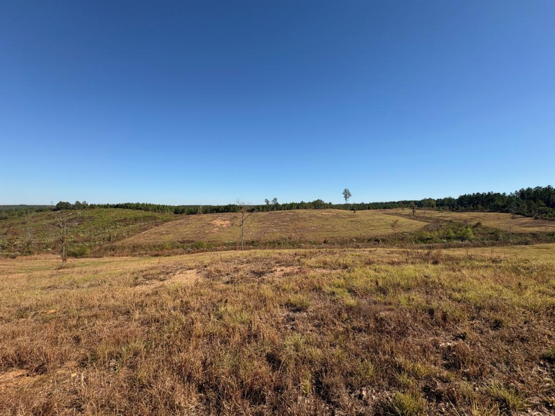 160 Acres in Shelby County w/ pastures and lake - photo 12