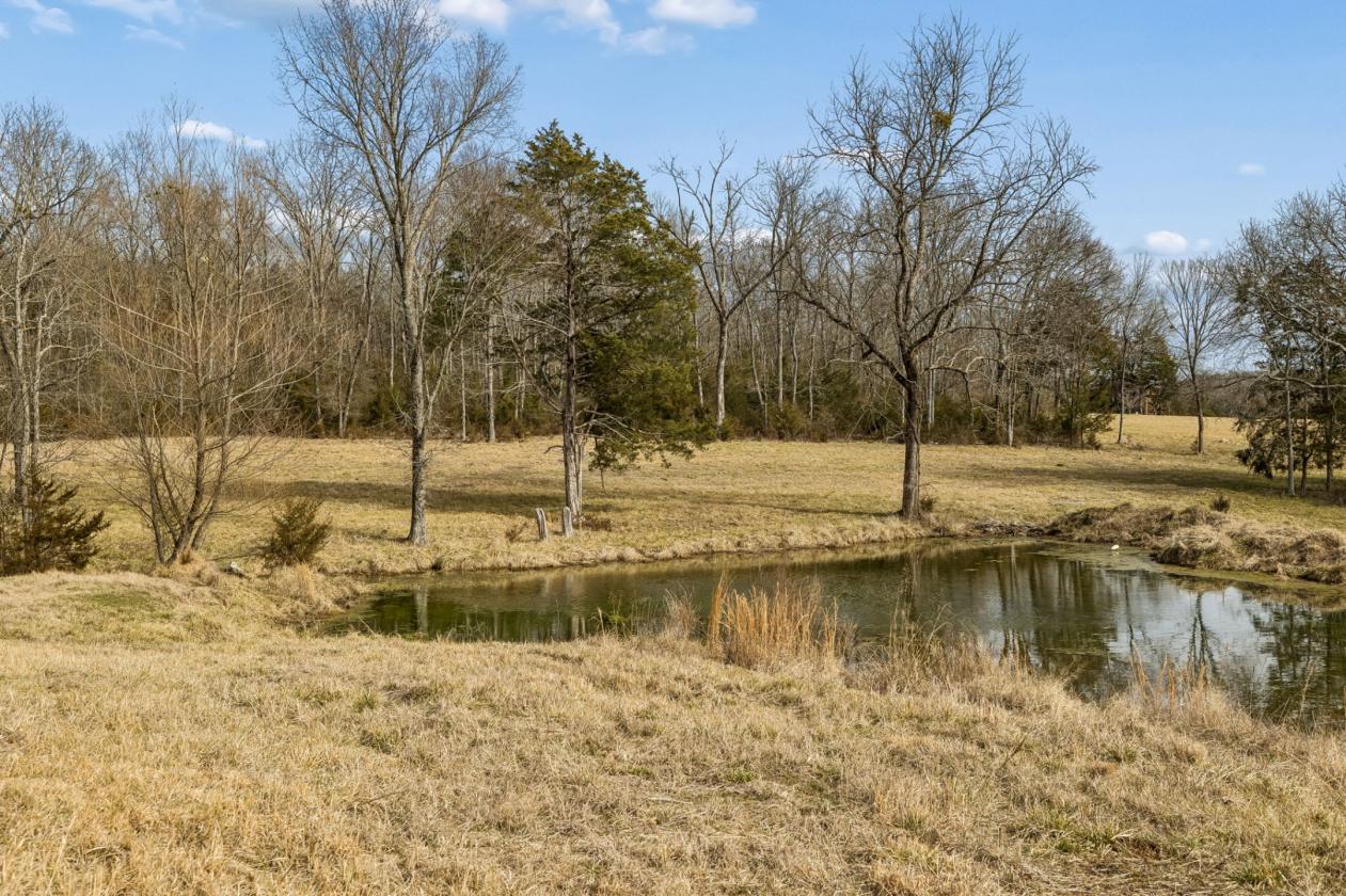 175 Gorgeous Acres - photo 10