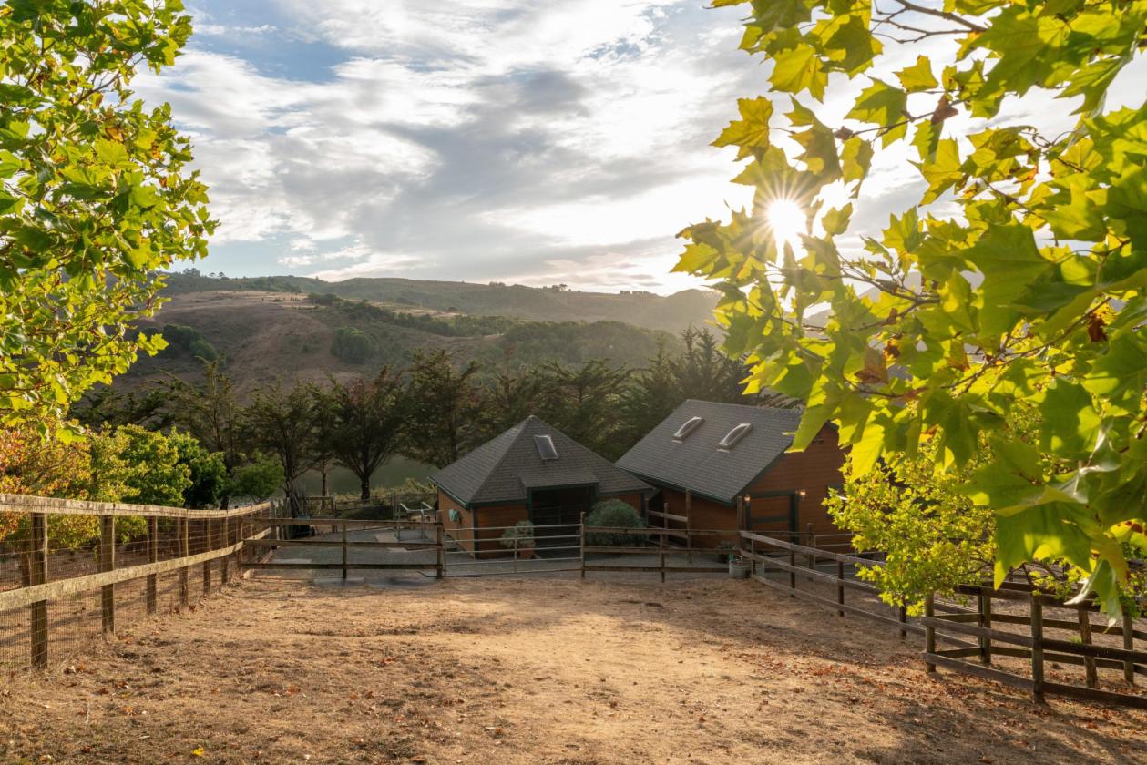An Exceptional Nicasio Estate - photo 12