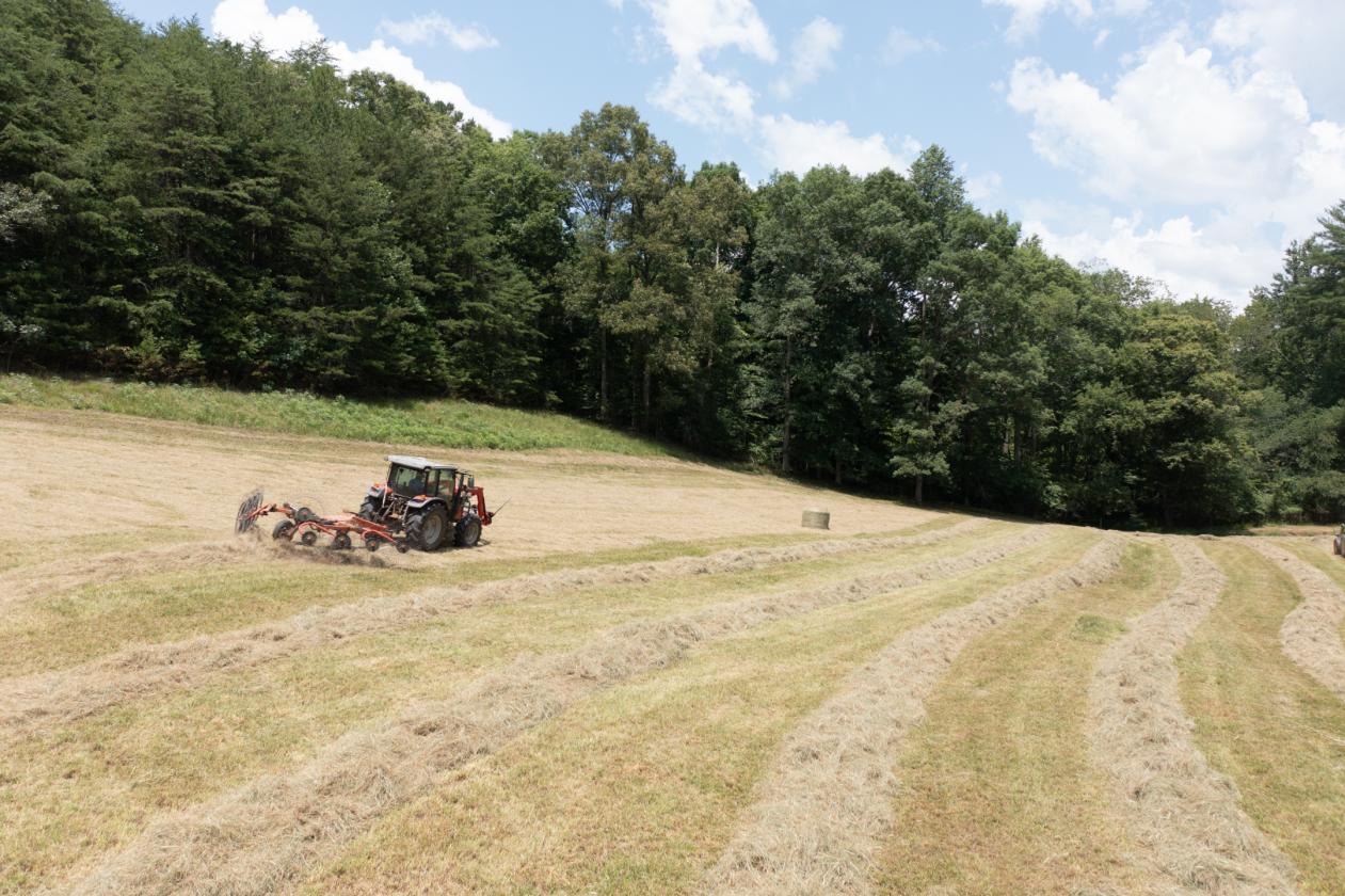 Large Equestrian Estate-Pasture, Mountains, Creeks - photo 8