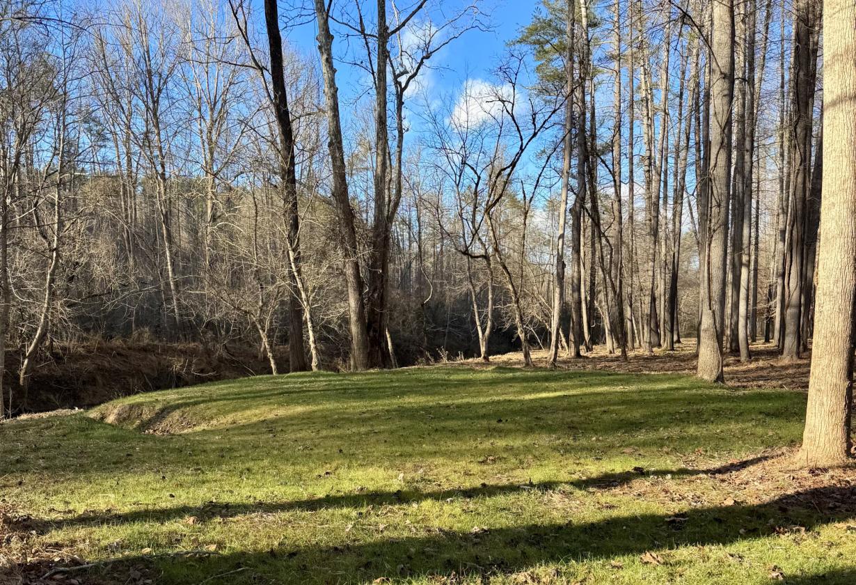 Riverfront- 12 ac at The Coves Mtn RIver Club - photo 6