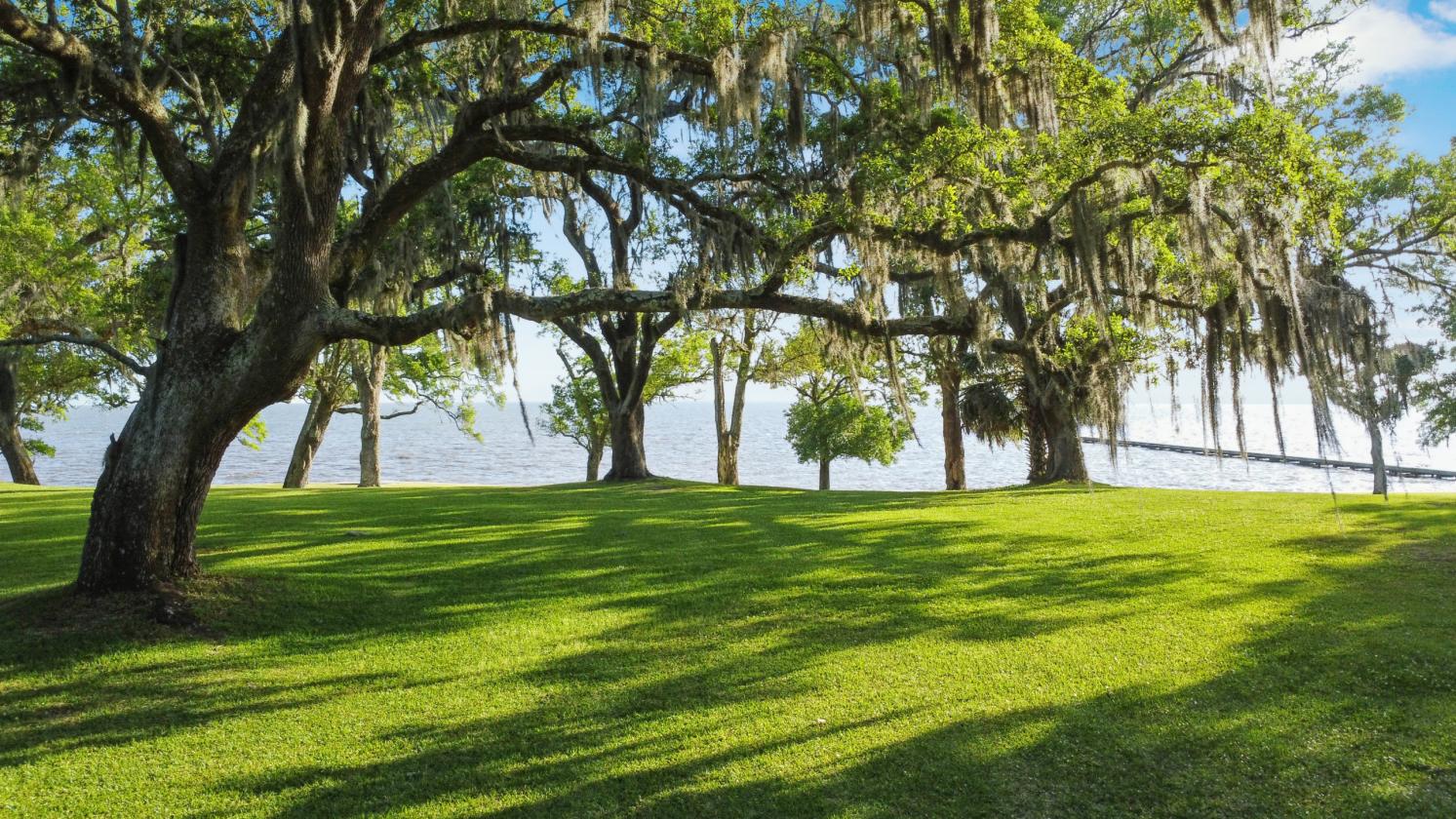93 Acre Gulf-Front Estate. Horses Welcome - photo 5