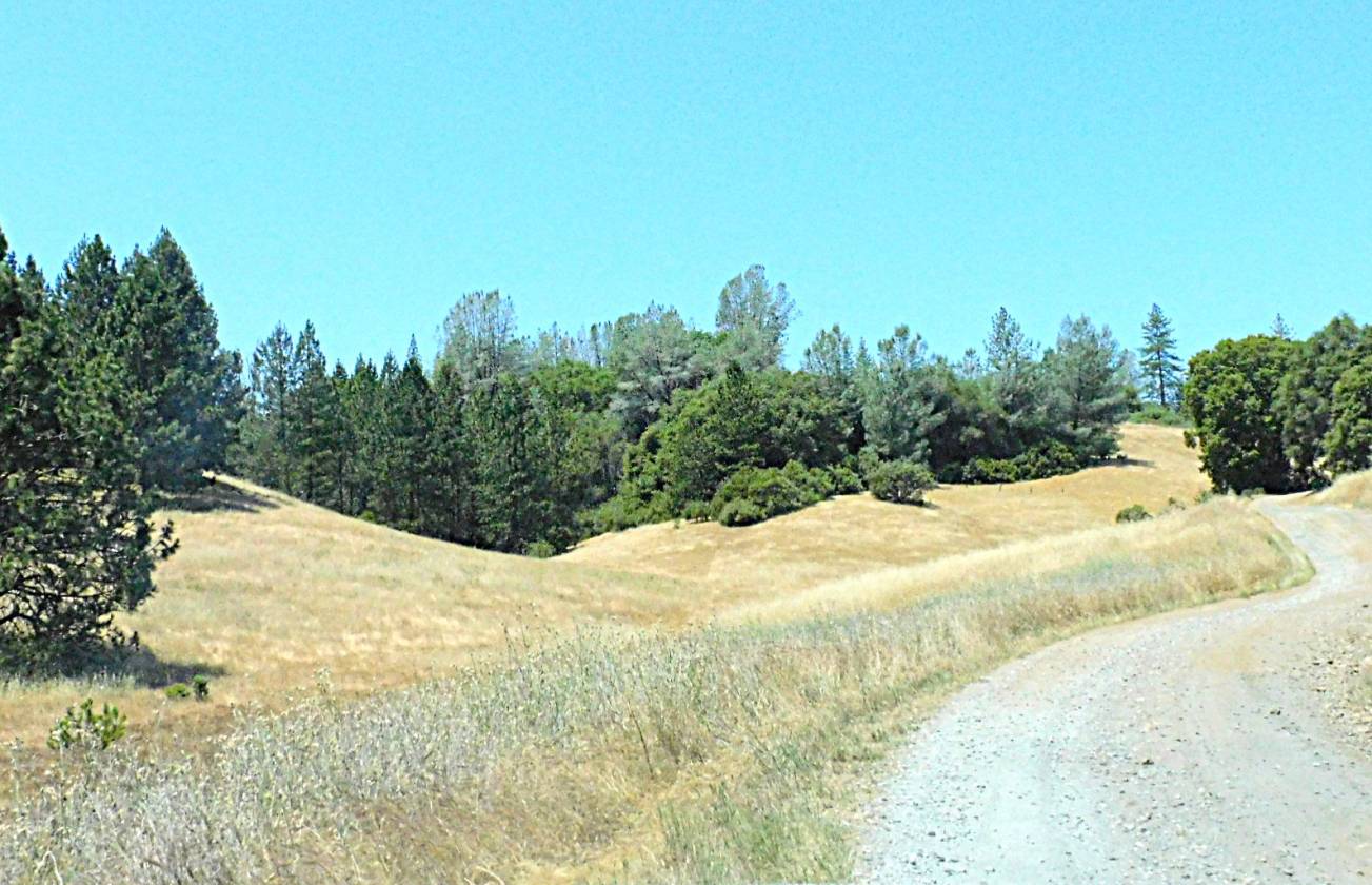Beautiful Rolling 165 Acres, 100GPM Well too! - photo 6