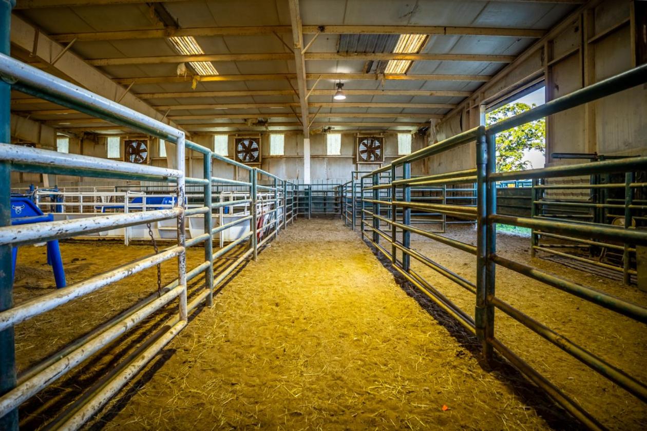 Elite Western Arena & Event Center - photo 17