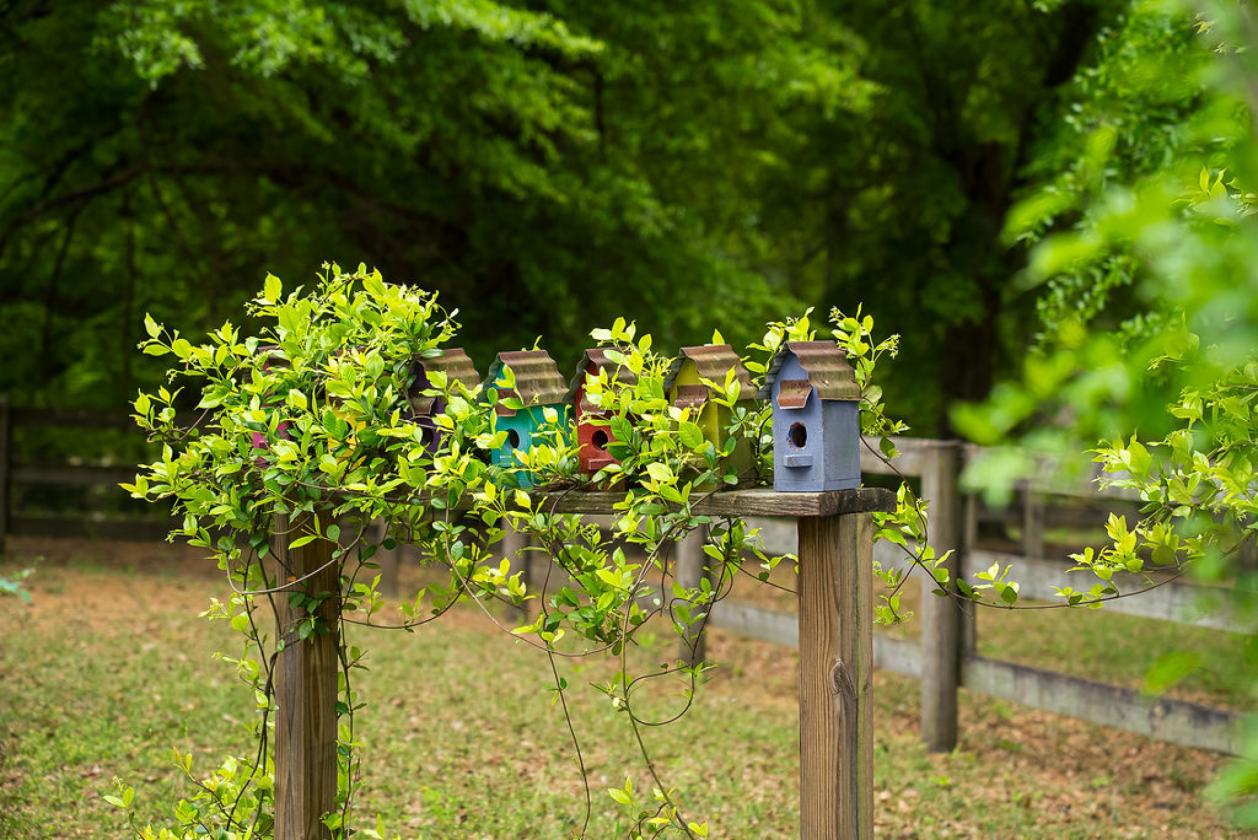Southern Hospitality for Horse & Rider - photo 22