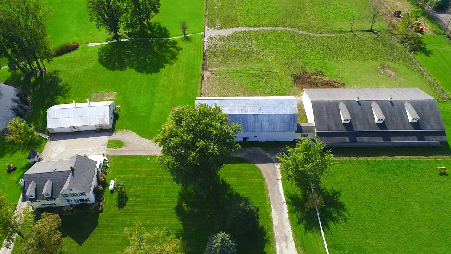 Country Estate Richmond, County, Michigan Horse ranch for sale