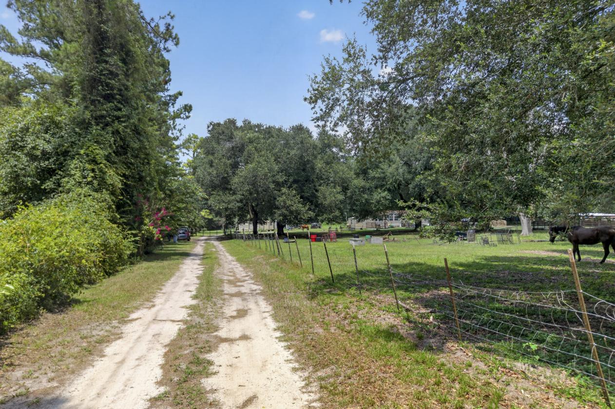 10-acre agricultural property - photo 11