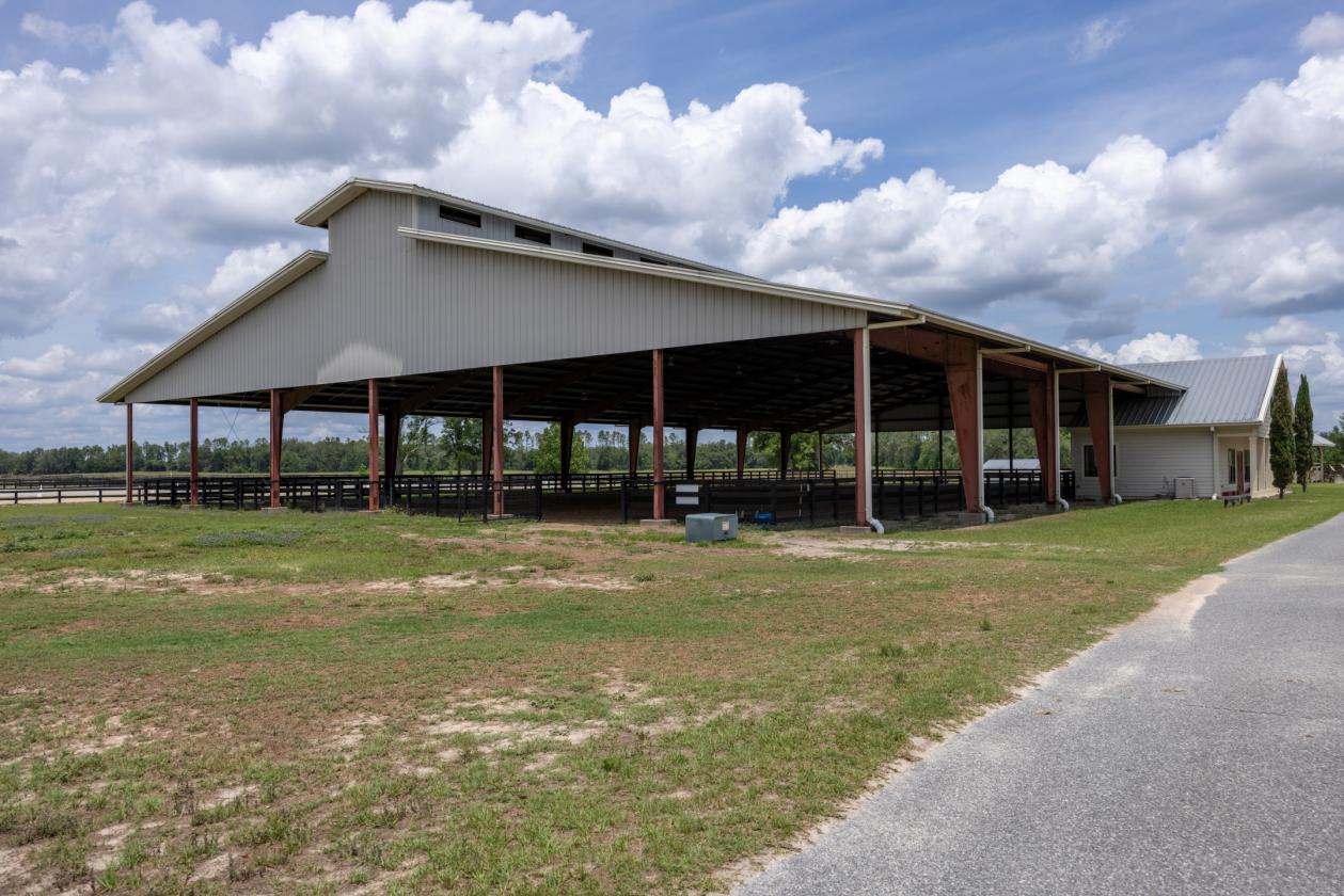 Equestrian elegance meets peaceful North Florida - photo 22