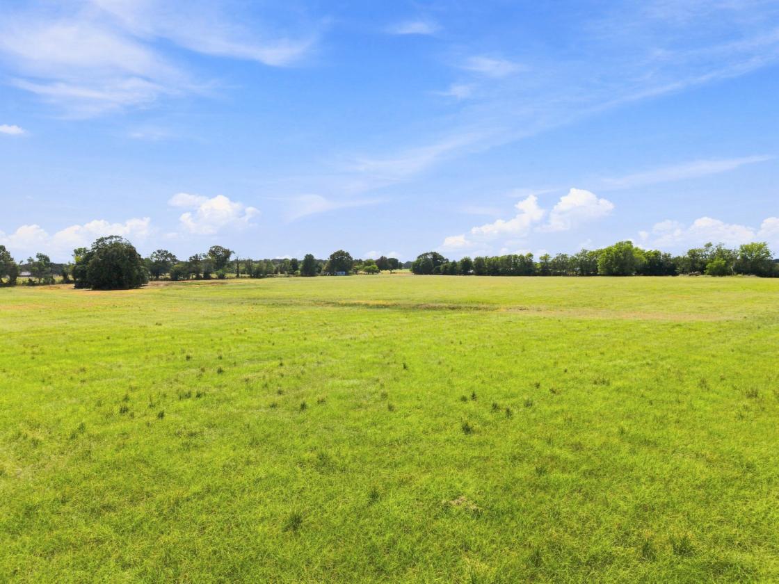 Wide-Open 18± Acres for Horses & Country Living - photo 11