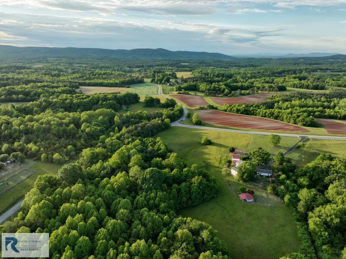Blue Bird Hill - Turnkey Endless Possibilities - photo 3