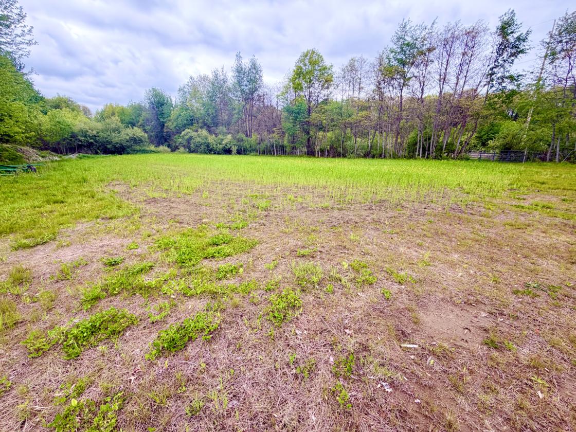 60Acres Equestrian Land with Scenic Trails - photo 8
