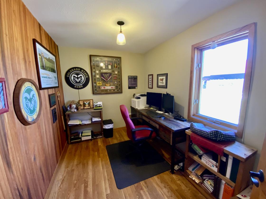 17 Acre Ranch in the Ohio Creek Valley - photo 27