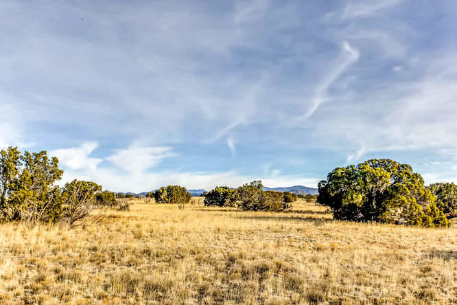 155 VIEW Acres - photo 15